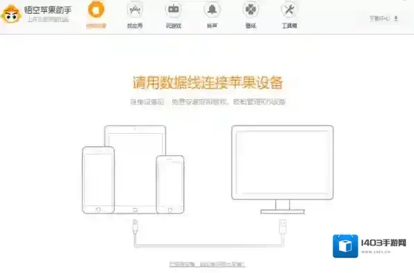 手机助手苹果的手机