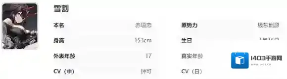 艾塔纪元首领