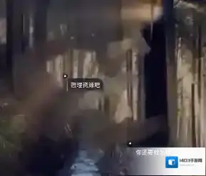 in相机信息