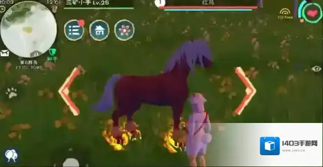 创造与魔法玩家