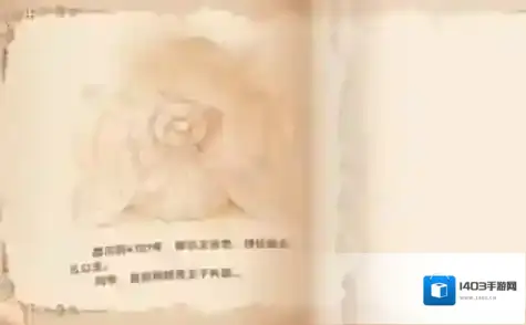 摩尔庄园骑士