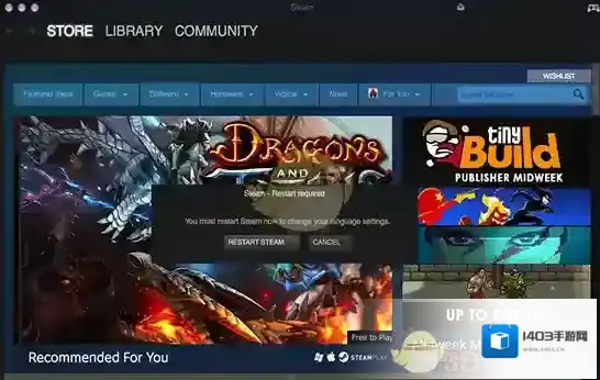 Steam语言