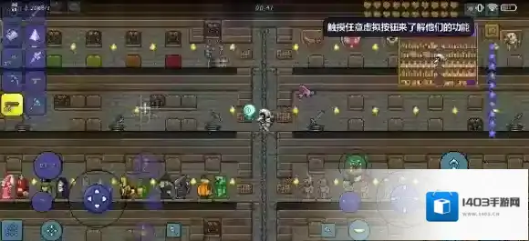 泰拉瑞亚免疫
