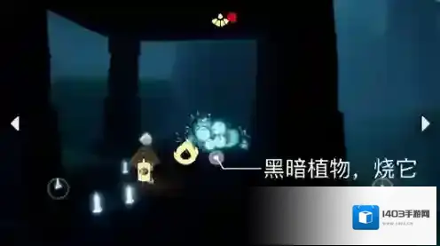 光遇任意