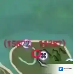 创造与魔法鲨鱼