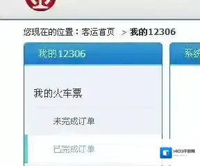 网易火车票原票