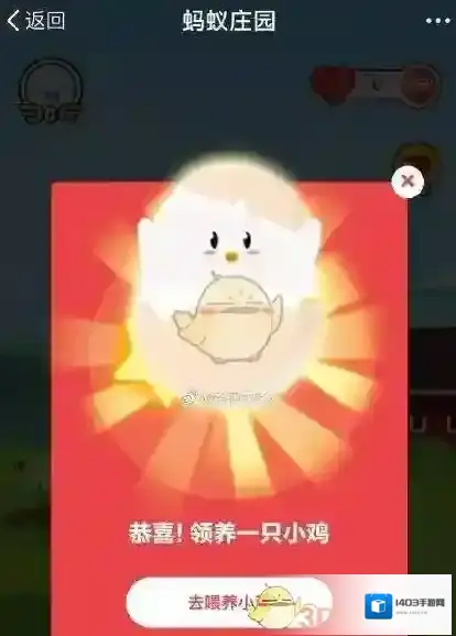 支付宝蚂蚁庄园