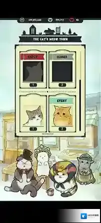 猫咪猫猫