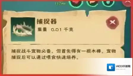 创造与魔法坐骑