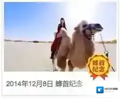 蚂蜂窝自由行聚乐部