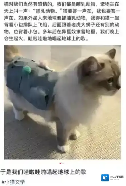 梗百科是什么意思