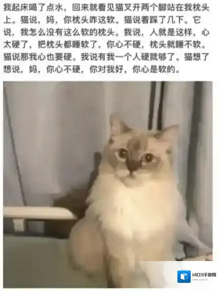 梗百科是什么梗