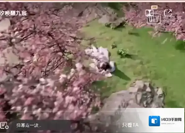 爱奇艺视频视频