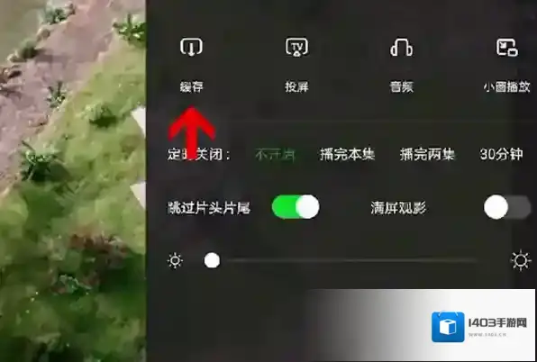 爱奇艺视频极速版