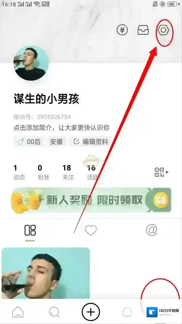 新浪绿洲绿洲