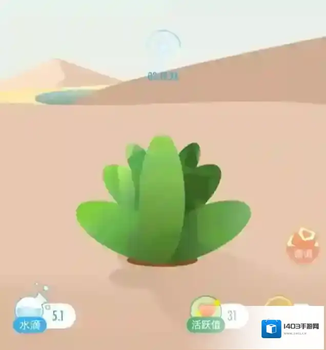 新浪绿洲绿洲