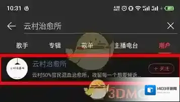 网易云音乐用户