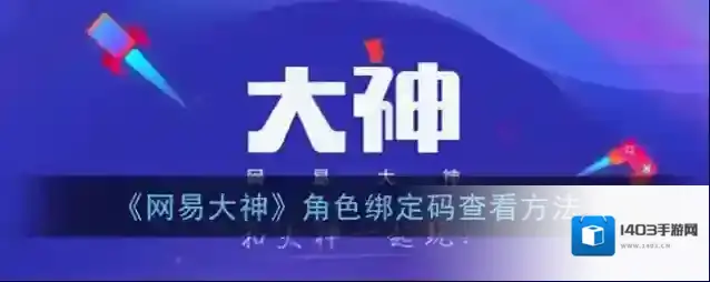 《网易大神》角色绑定码查看方法