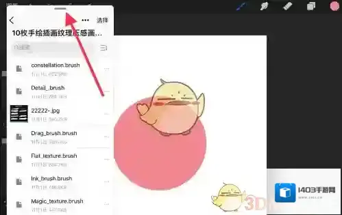 Procreate Pocket如下图所示