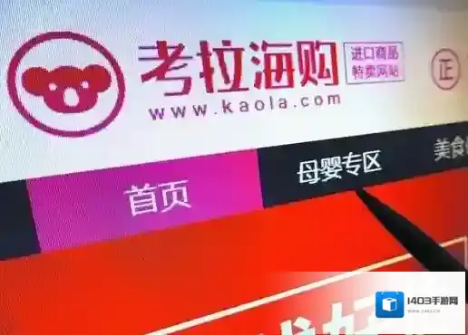 网易考拉海购不一定