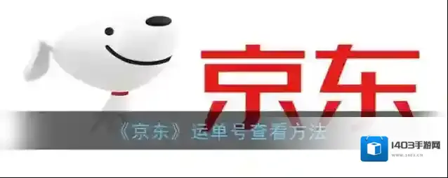 京东我的订单