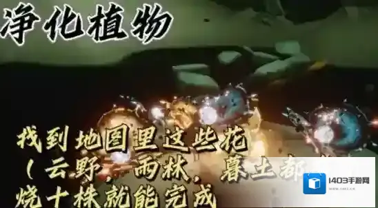 光遇大花