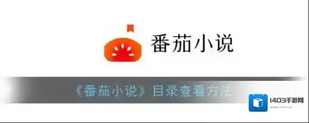 番茄小说我们在