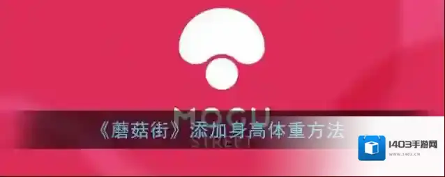 蘑菇街信息