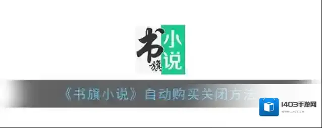书旗小说功能