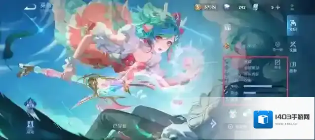 王者荣耀护盾