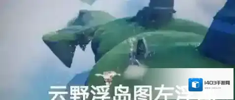 光遇雨林