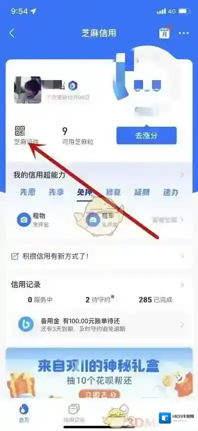 支付宝选项