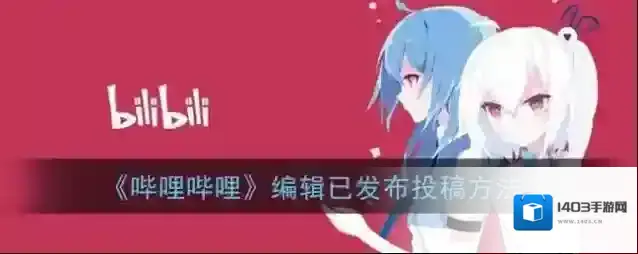 哔哩哔哩视频