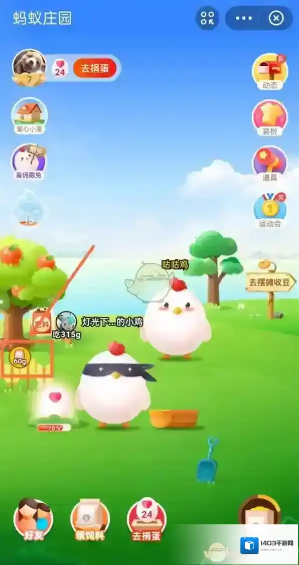 支付宝来源于