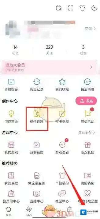 哔哩哔哩选择