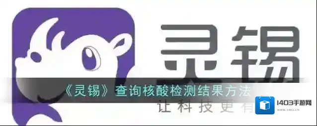 灵锡核酸检测