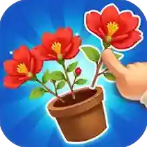 消个花朵吧手机版