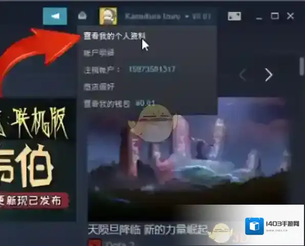Steam信息