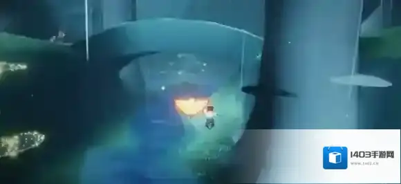 Sky光遇雨林