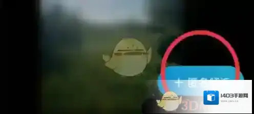 最右树洞