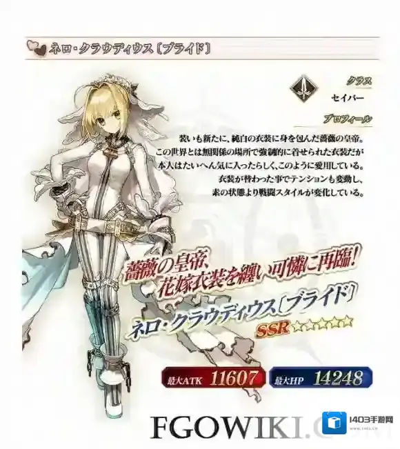 FateGo宝具