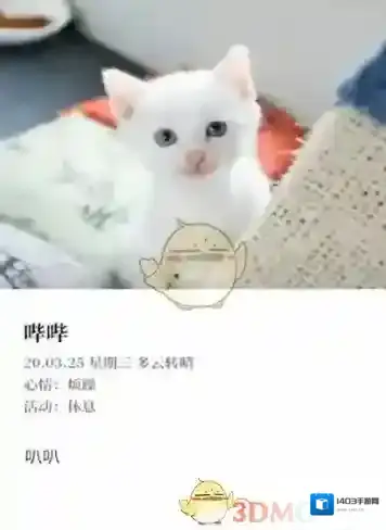 Moo日记上传照片