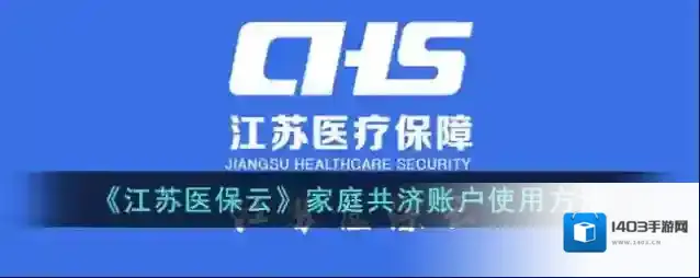 国家医保服务平台共济