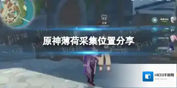 原神采集