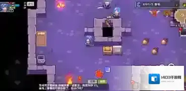 伊洛纳种族