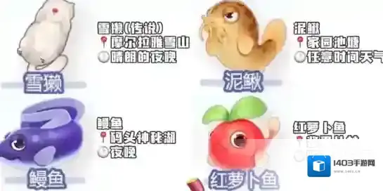 摩尔庄园收集