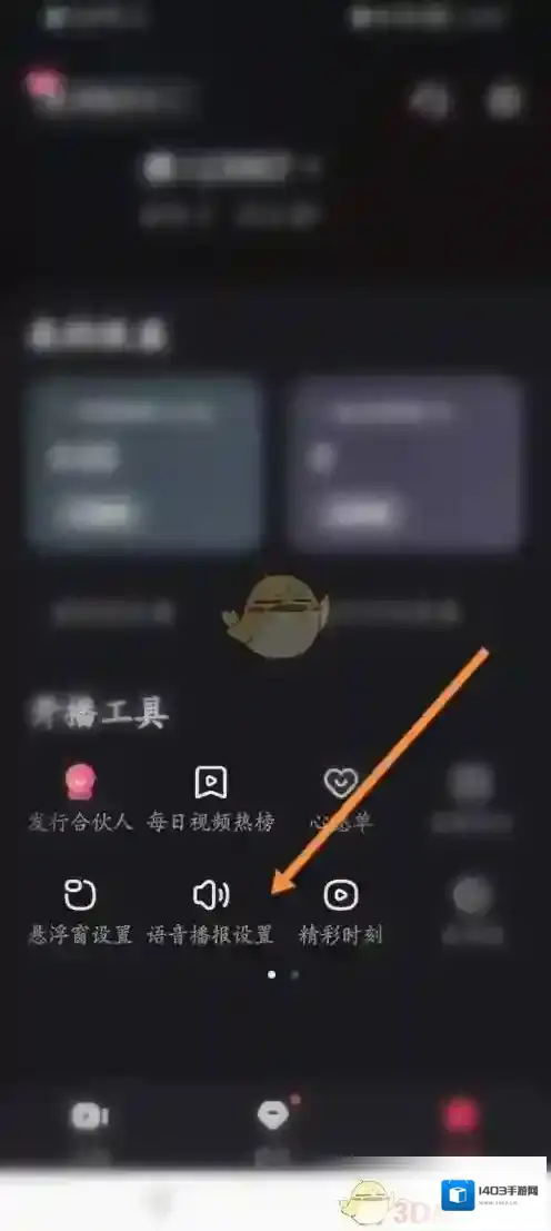 快手直播伴侣风格