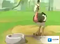不休的乌拉拉宠物图鉴
