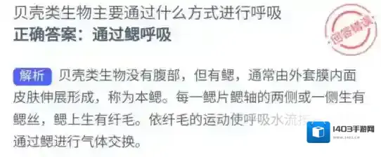 支付宝生有