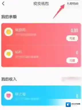 皮皮陪玩点击